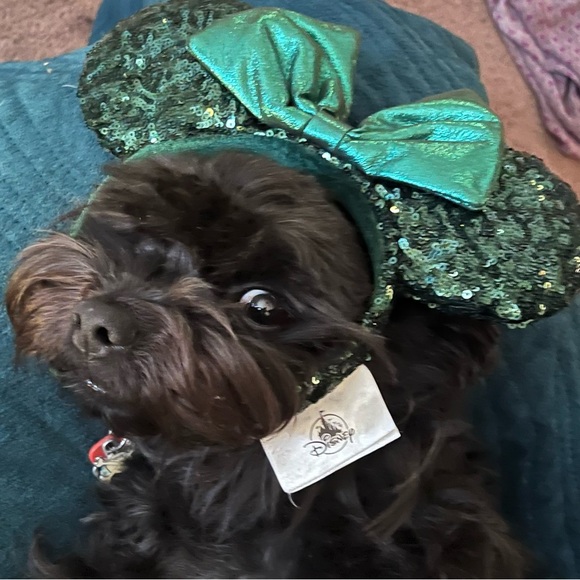 Meet your Posher, Pam - Picture 1 of 1